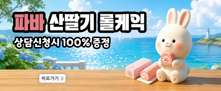 파바 산딸기 롤케익