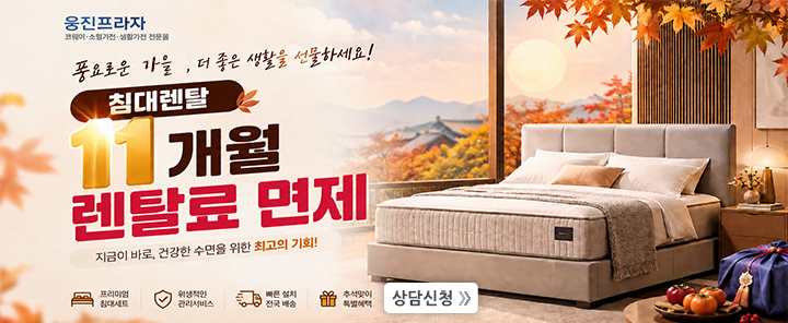 비렉스 페스타